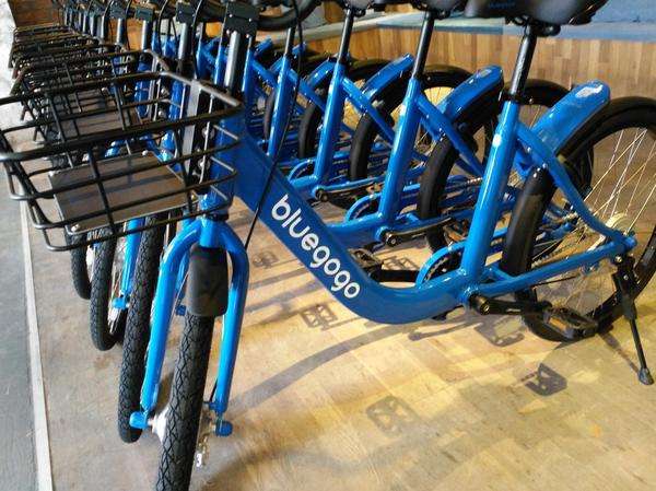 蓝破gtv破解版免费观看